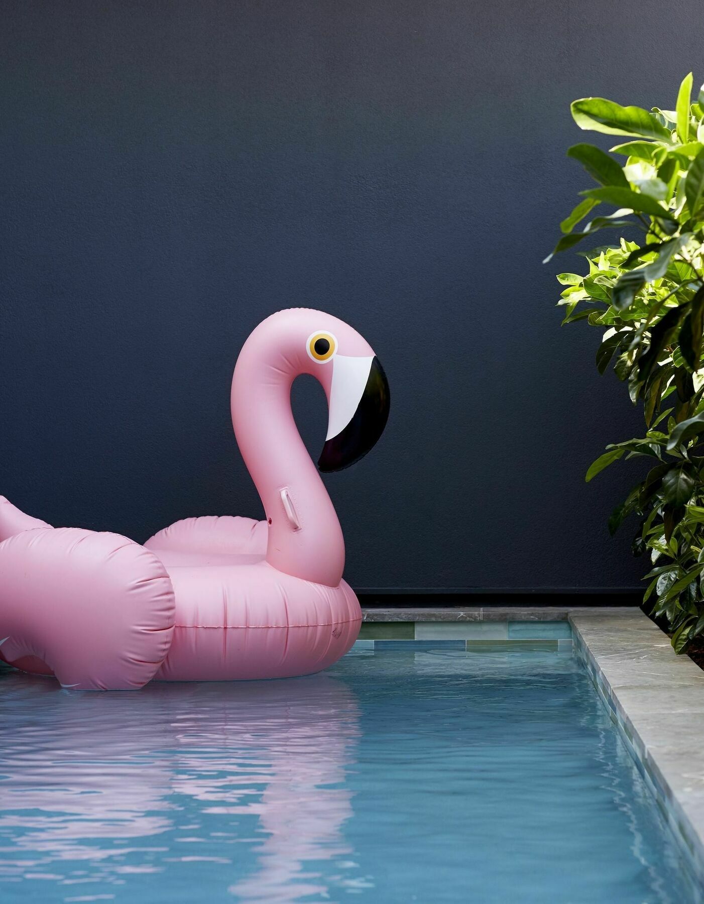 28 Degrees Byron Bay - Adults Only Hotel Bagian luar foto